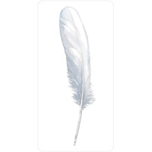 Divine Feather Oracle kortos US Games Systems Divine Feather Oracle kortos US Games Systems