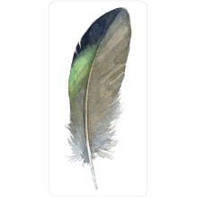 Divine Feather Oracle kortos US Games Systems Divine Feather Oracle kortos US Games Systems