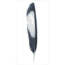Divine Feather Oracle kortos US Games Systems Divine Feather Oracle kortos US Games Systems