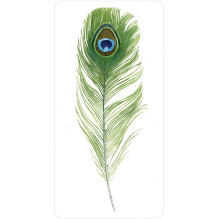 Divine Feather Oracle kortos US Games Systems Divine Feather Oracle kortos US Games Systems