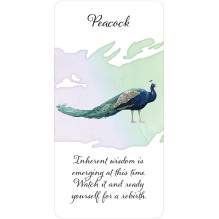Divine Feather Oracle kortos US Games Systems Divine Feather Oracle kortos US Games Systems