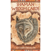 Shaman Wisdom kortos US Games Systems Shaman Wisdom kortos US Games Systems