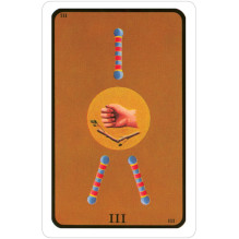 Tarot of The Witches taro kortos US Games Systems Tarot of The Witches taro kortos US Games Systems