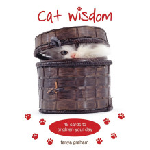 Cat Wisdom kortos Blue Angel Cat Wisdom kortos Blue Angel