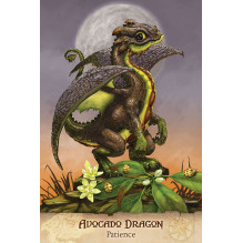 Field Guide To garden Dragons Taro kortos US Games Systems Field Guide To garden Dragons Taro kortos US Games Systems