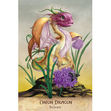 Field Guide To garden Dragons Taro kortos US Games Systems Field Guide To garden Dragons Taro kortos US Games Systems