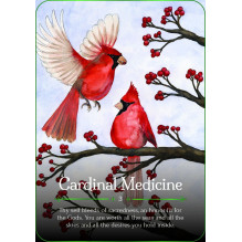 Seasons Of The Witch Yule Oracle Cards Rockpool Seasons Of The Witch Yule Oracle Cards Rockpool