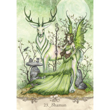 Fairy Wisdom Oracle kortos ir knyga US Games Systems Fairy Wisdom Oracle kortos ir knyga US Games Systems