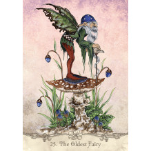 Fairy Wisdom Oracle kortos ir knyga US Games Systems