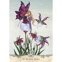 Fairy Wisdom Oracle kortos ir knyga US Games Systems Fairy Wisdom Oracle kortos ir knyga US Games Systems