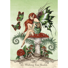 Fairy Wisdom Oracle kortos ir knyga US Games Systems Fairy Wisdom Oracle kortos ir knyga US Games Systems