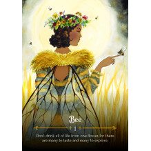 Seasons Of The Witch Beltane Oracle Cards Rockpool Seasons Of The Witch Beltane Oracle Cards Rockpool