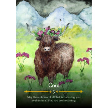 Seasons Of The Witch Beltane Oracle Cards Rockpool Seasons Of The Witch Beltane Oracle Cards Rockpool