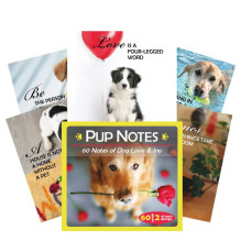 Inspirational Pup Notes: 60 Meilės ir Džiaugsmo kortų US Games Systems Inspirational Pup Notes: 60 Meilės ir Džiaugsmo kortų US Games Systems