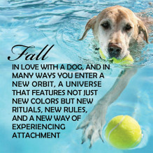 Inspirational Pup Notes: 60 Meilės ir Džiaugsmo kortų US Games Systems Inspirational Pup Notes: 60 Meilės ir Džiaugsmo kortų US Games Systems