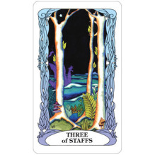 Tarot Of A Moon Garden kortos US Games Systems Tarot Of A Moon Garden kortos US Games Systems