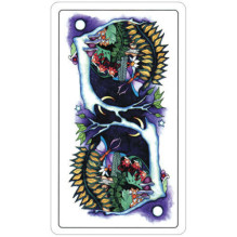Tarot Of A Moon Garden kortos US Games Systems Tarot Of A Moon Garden kortos US Games Systems