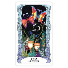 Tarot Of A Moon Garden kortos US Games Systems Tarot Of A Moon Garden kortos US Games Systems