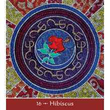 Mother Earth Mandala Oracle Cards US Games Systems Mother Earth Mandala Oracle Cards US Games Systems
