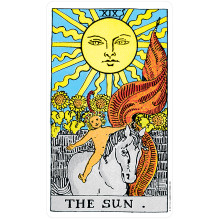 The 100 percent Plastic Rider Tarot Cards US Games Systems The 100 percent Plastic Rider Tarot Cards US Games Systems