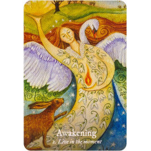 Goddess Love Oracle Cards Rockpool