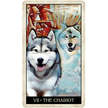 Wise Dog Taro kortos US Games Systems