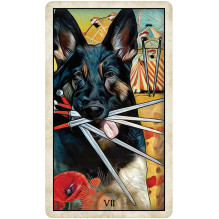 Wise Dog Tarot Cards US Games Systems