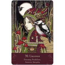 Universal Folk Oracle Cards US Games Systems Universal Folk Oracle Cards US Games Systems