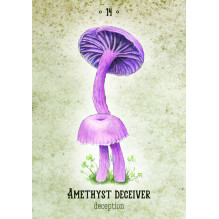 Mushroom Spirit Oracle Cards Rockpool Publishing Mushroom Spirit Oracle Cards Rockpool Publishing