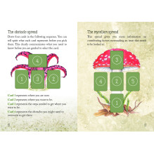 Mushroom Spirit Oracle Cards Rockpool Publishing Mushroom Spirit Oracle Cards Rockpool Publishing