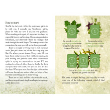 Mushroom Spirit Oracle kortos Rockpool Publishing