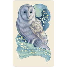 Dreamscape Oracle Cards US Games Systems