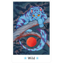 Affirmations of the Fairy Cats cards US Games Systems Affirmations of the Fairy Cats cards US Games Systems