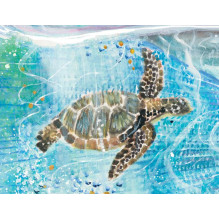 Water Blessings Affirmation Cards Rockpool Water Blessings Affirmation Cards Rockpool