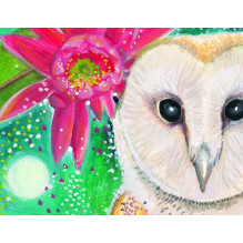 Indigo Sage Affirmation Cards Rockpool