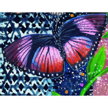 Indigo Sage Affirmation Cards Rockpool