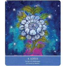 Auspicious Symbols Oracle Cards US Games Systems