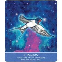 Auspicious Symbols Oracle Cards US Games Systems