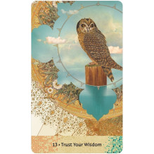 Wisdom Of Hafiz Oracle kortos US Games Systems Wisdom Of Hafiz Oracle kortos US Games Systems