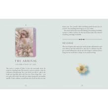 Resurrection Oracle Cards Rockpool Resurrection Oracle Cards Rockpool