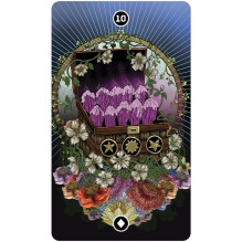 Global Fusion Intuitive Taro kortos Us Games Systems