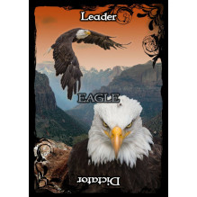 Animal Guidance And Aspects Oracle kortos Solarus