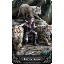 Anne Stokes Gothic Oracle Kortų ir knygos rinkinys US Games Systems Anne Stokes Gothic Oracle Kortų ir knygos rinkinys US Games Systems