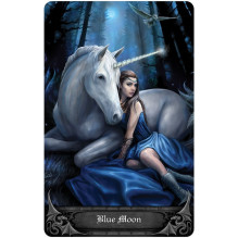 Anne Stokes Gothic Oracle Card and Book Set US Games Systems Anne Stokes Gothic Oracle Card and Book Set US Games Systems