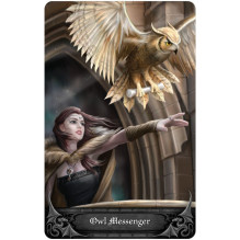Anne Stokes Gothic Oracle Card and Book Set US Games Systems Anne Stokes Gothic Oracle Card and Book Set US Games Systems