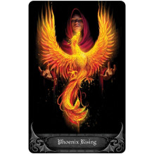 Anne Stokes Gothic Oracle Kortų ir knygos rinkinys US Games Systems Anne Stokes Gothic Oracle Kortų ir knygos rinkinys US Games Systems