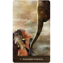 Wild woman rising Oracle cards US Games Systems Wild woman rising Oracle cards US Games Systems
