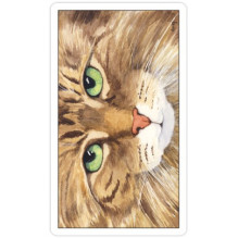 Cats Eye Taro kortos US Games Systems Cats Eye Taro kortos US Games Systems