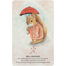 Nature Quest Oracle Cards US Games Systems Nature Quest Oracle Cards US Games Systems