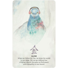 Nature Quest Oracle Cards US Games Systems Nature Quest Oracle Cards US Games Systems